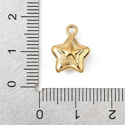 304 Stainless Steel Charms STAS-F327-03C-G-1
