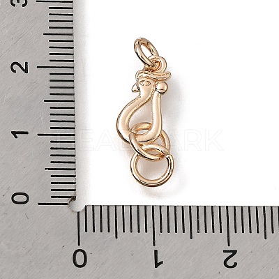 Brass Hooks KK-CBA0DF0-19B-KCG-1