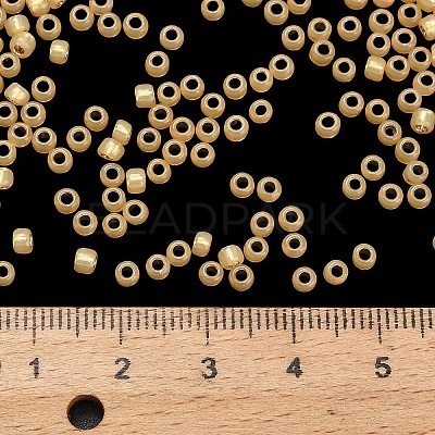 TOHO 8/0 Round Beads SEED-XTR08-2110-1