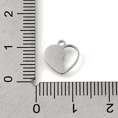 304 Stainless Steel Charms STAS-S178-02P-1