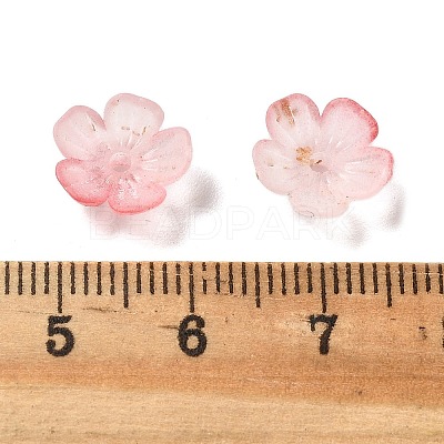 Acrylic Bead Caps OACR-Z028-03C-1