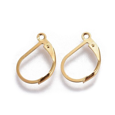 304 Stainless Steel Leverback Earring Findings STAS-L221-09G-1