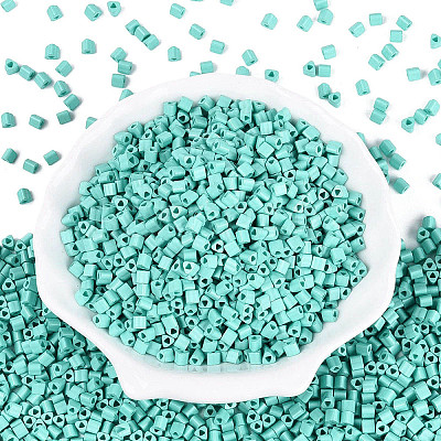 FGB Baking Paint Glass Seed Beads SEED-Q040-09A-13-1