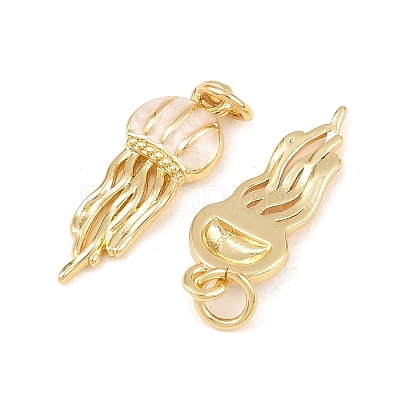 Brass Enamel Pendants KK-Z140-13G-1