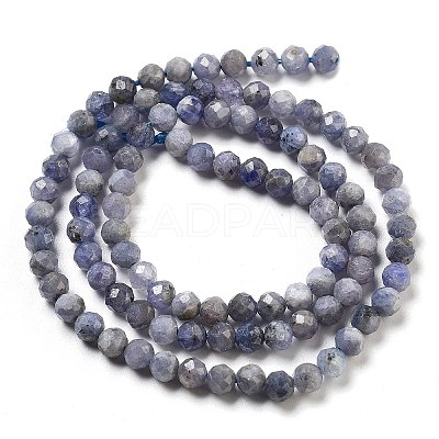 Natural Tanzanite Beads Strands G-G161-A14-03-1