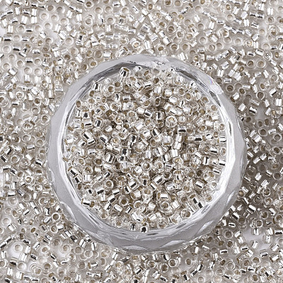 Glass Seed Beads X-SEED-S042-04B-06-1