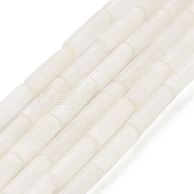Natural Selenite Beads Strands G-K336-01-1