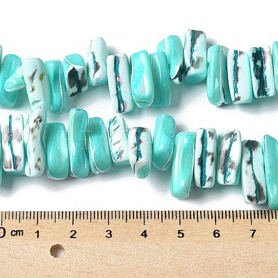 Dyed Natural Trochus Shell Beads Strands X-SSHEL-C013-09M-1