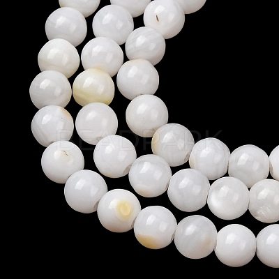 Natural Freshwater Shell Beads Strands SH-CBA2978-07D-04-1