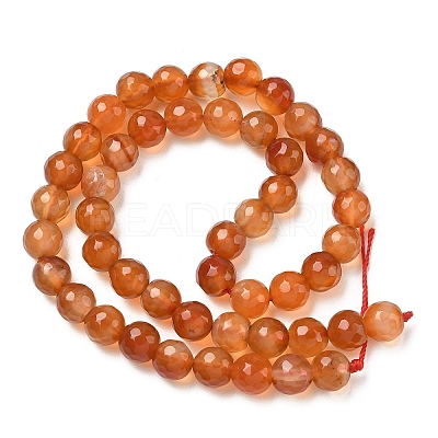 Dyed & Heated Natural Agate Beads Strands G-P539-D01-10-1