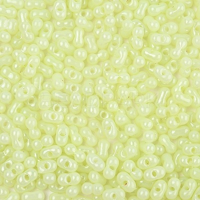 Baking Paint Glass Seed Beads SEED-L011-09A-21-1