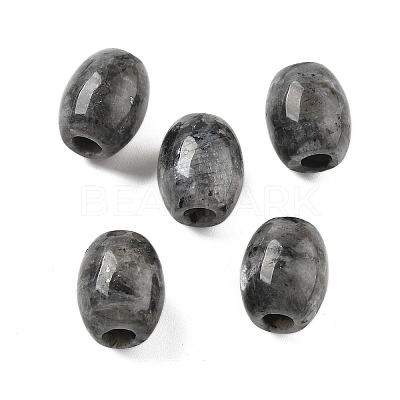 Natural Larvikite European Beads G-F580-A11-01-1
