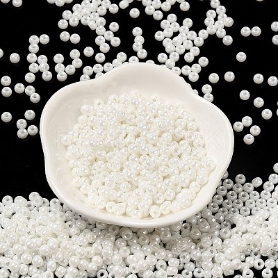 Glass Seed Beads SEED-H002-E-A121-1