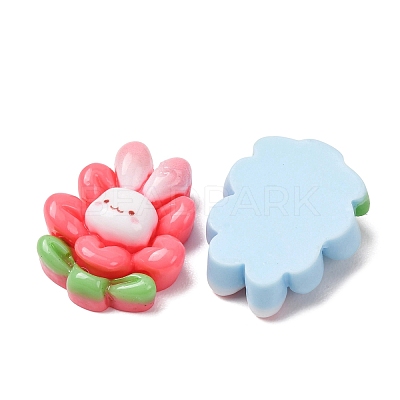 Opaque Resin Cabochons RE-CBA0EC6-06-1