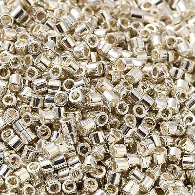 Electroplate Glass Seed Beads X-SEED-S042-01B-08-1