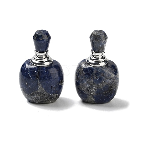 Natural Sodalite Dropper Bottles DJEW-K024-01P-02-1