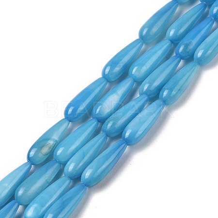 Natural Freshwater Shell Beads Strands SHEL-A004-03C-1
