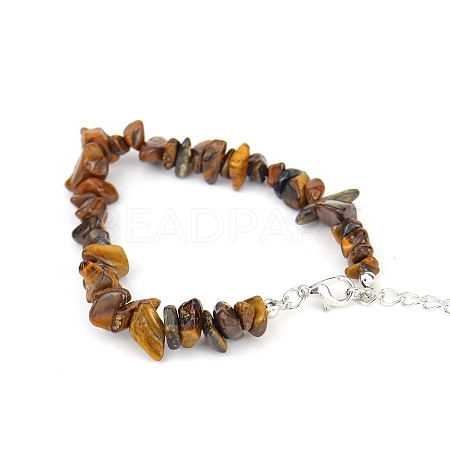 Natural Tiger Eye Bead Bracelets PW-WG11851-09-1