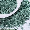 MIYUKI Delica Beads SEED-J020-DB0432-1