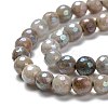 Natural Labradorite Beads Strands G-G723-01D-3