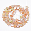 Freshwater Shell Beads Strands X-SHEL-N026-08C-2
