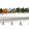 Natural Indian Agate Beads Strands G-G085-B11-02-4