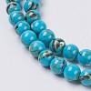 Sea Shell and Synthetic Turquoise Assembled Beads Strands X-G-G758-04-6mm-3