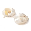 Natural Sea Shell Pendants X-SSHEL-C013-03-2