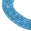 Natural Apatite Beads Strands G-Z160-A01-2mm-4