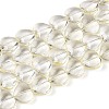 Baking Paint Transparent Glass Beads Strands DGLA-N021-01B-03-1