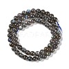 Grade AA Natural Gemstone Labradorite Round Beads Strands G-E251-33-6mm-01-9