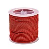11M Polyester Braided Cord with Cotton Core & Metallic Thread OCOR-Z006-01-27-1