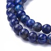 Natural Lapis Lazuli Beads Strands G-P430-07-B-3