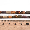 Natural Picasso Jasper/Polychrome Jasper Beads Strands G-N346-01A-05-5