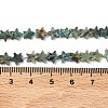 Natural African Turquoise(Jasper) Beads Strands G-F817-A14-01-6