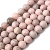Natural Pink Zebra Jasper Beads Strands G-P231-01-10mm-2