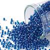 TOHO 11/0 Round Beads X-SEED-TR11-0189-1
