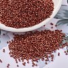 MIYUKI Delica Beads X-SEED-J020-DB1838-1