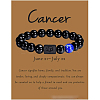 12 Constellation Natural Round Lapis Lazuli Beads Stretch Bracelets WGD22B0-14-1