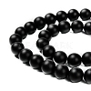 Natural Black Agate Beads Strands X-G-D543-10mm-3