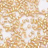 11/0 Two Cut Round Hole Glass Seed Beads SEED-G006-2mm-632-4
