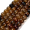 Dyed Natural Agate Beads Strands G-G203-10D-10mm-2