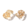 Transparent Lampwork Beads LAMP-P065-06A-06-3