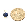 Natural Mixed Gemstone Charms PALLOY-JF00992-02-2