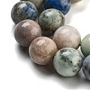Natural Hackmanite Sodalite Beads Strands G-Z063-A03-01-4