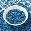MIYUKI Round Rocailles Beads X-SEED-G008-RR4485-3