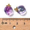 Glass Pendants X-GLAA-P072-05G-4