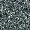 TOHO 11/0 Round Beads X-SEED-TR11-0773-2