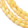 Dyed Natural Freshwater Shell Beads Strands SH-CBA2978-06B-2