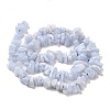 Natural Blue Lace Agate Chip Beads Strands X-G-E271-73-01-2